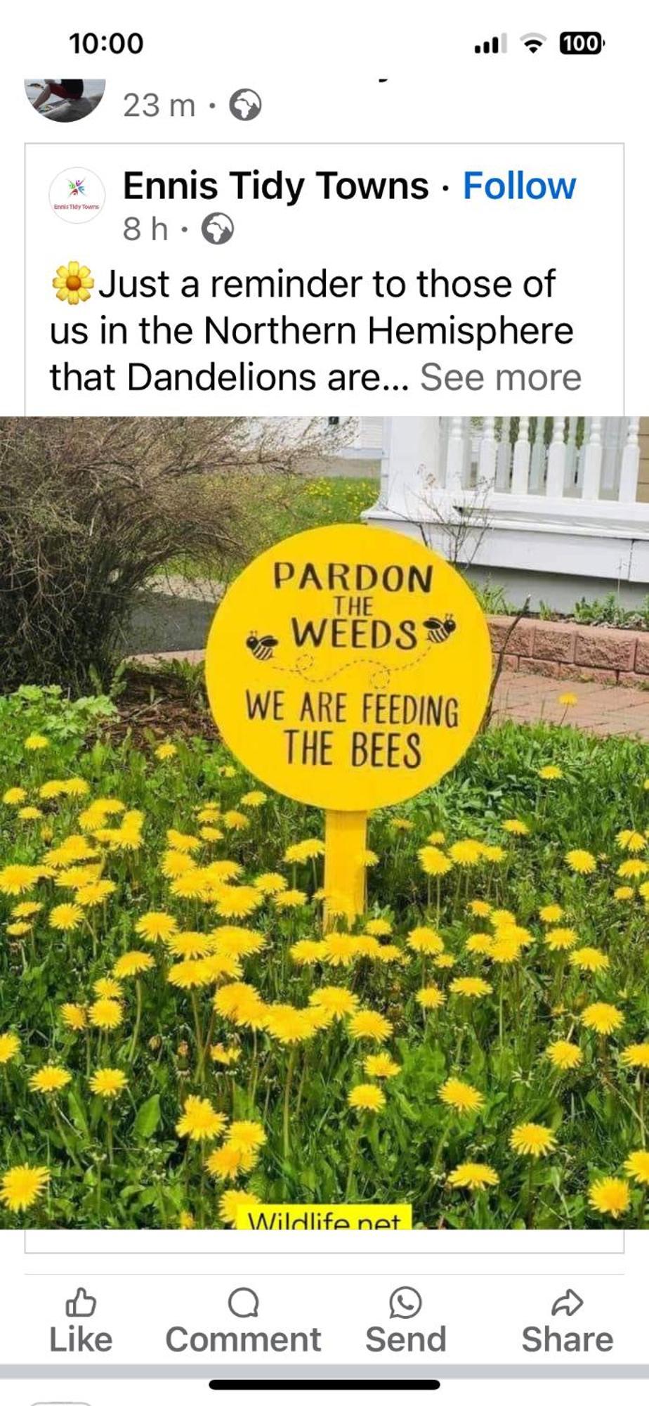 The Bee Pods *